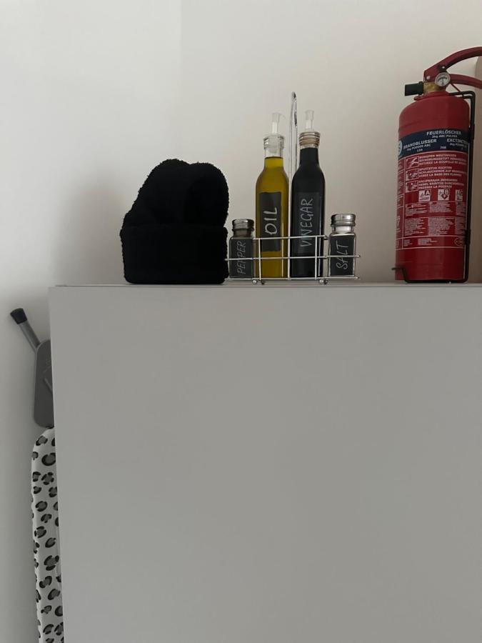Klimatisiertes Dachgeschoss City Apartment In Zentrum Wiens Eksteriør bilde