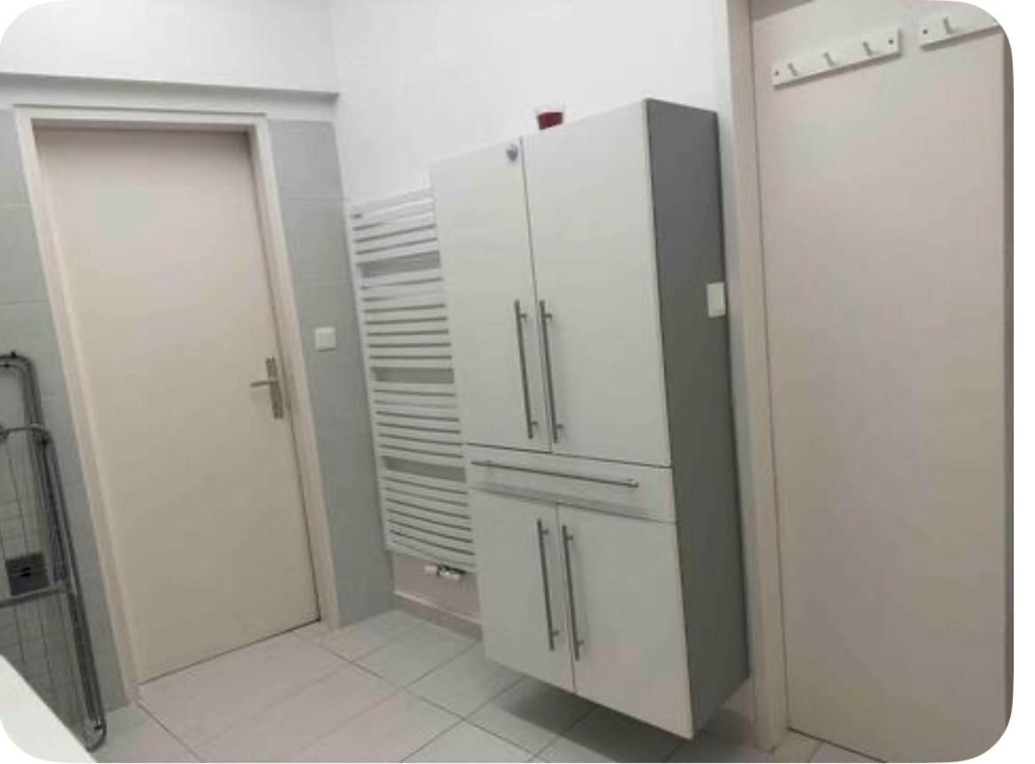 Klimatisiertes Dachgeschoss City Apartment In Zentrum Wiens Eksteriør bilde